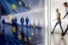 Германские и французские ультраправые поссорились перед выборами в ЕС