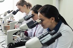 В Совфеде окрестили условия для сотворения технологического суверенитета