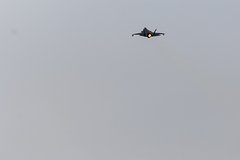 F 35 vvs ssha vooruzhili krylatymi raketami jsm c2b4b89.jpg