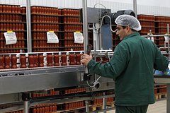 Poteri italii ot antirossijskih sankcij ocenili 26bc63f.jpg