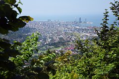 Letevshaja na parashjute turistka upala na poberezhe v gruzii i ne vyzhila 80685c1.jpg