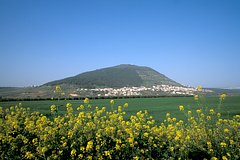 Uchenye posporili o mestonahozhdenii biblejskoj gory favor e09b29f.jpg