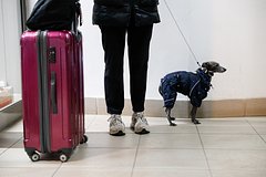 Evrokomissija obvinila vengriju v potencialnom narushenii zakonov es 38a3a7e.jpg