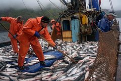 Pravitelstvo nashlo sposob nakormit rossijan ryboj 4d5fd03.jpg