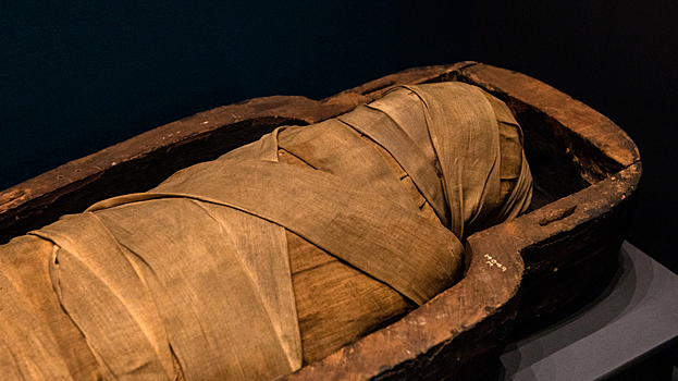 V egipetskoj mumii nashli drevnejshuju v afrike chumu 08f3599.jpg