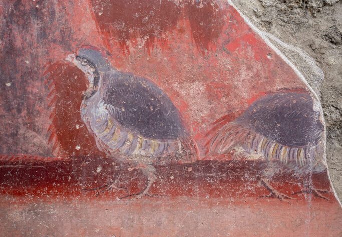 В Помпеях раскопали зал с колоннами и фресками