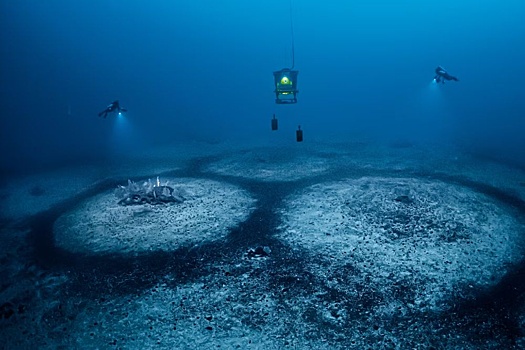 Identificirovany zagadochnye idealnye krugi na dne sredizemnogo morja 3d737d0.jpg