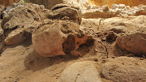 Kannibalizm v srednevekovoj evrope byl chastym javleniem vyjasnili uchenye 5f3e863.jpg