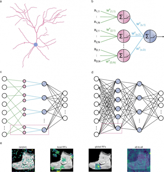 Разработана энергоэффективная нейросеть, вдохновленная устройством мозга