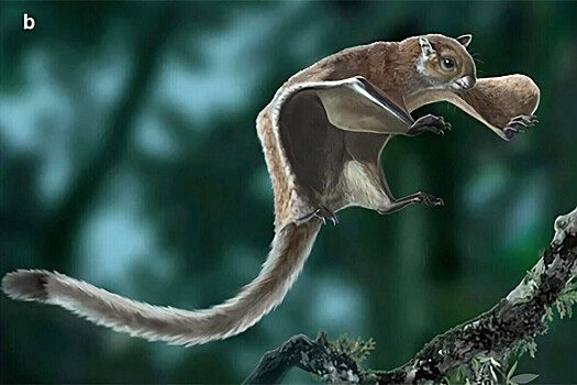 V appalachah nashli ostanki gigantskih belok letjag 1d00617.jpg