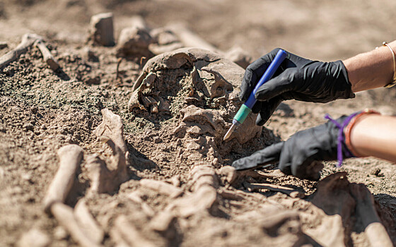 Vo francii najdeny 9 sarkofagov prolezhavshih v zemle 1300 let a0a36ad.jpg