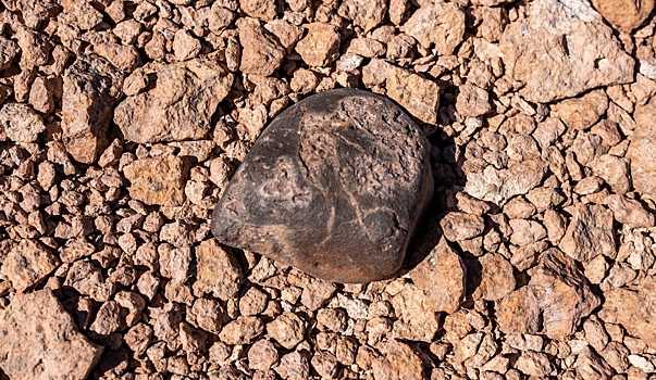 Ustanovleno proishozhdenie najdennogo v afrike meteorita d76f561.jpg