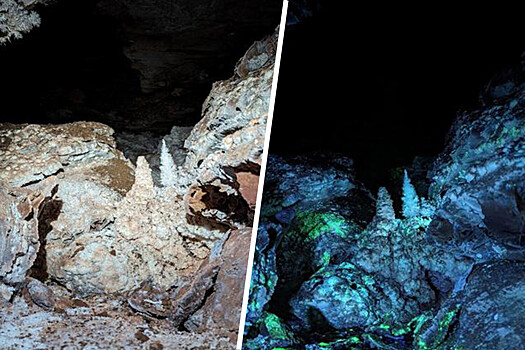 Zagadochnye fluorescentnye peshhery rasskazali o vnezemnoj zhizni 51efd7c.jpg