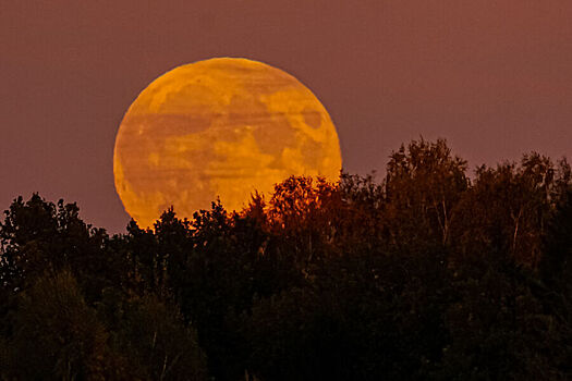 V germanii planirujut otpravit astronavtov na lunu bd65e61.jpg