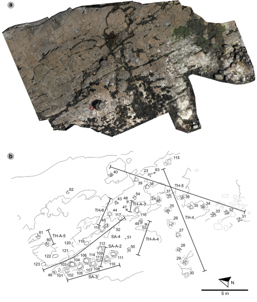 В Шотландии найден древний водопой динозавров