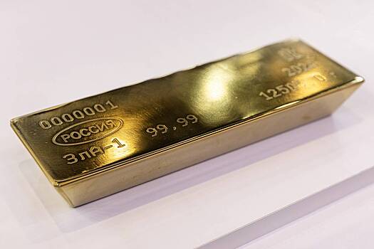 Ekonomist rasskazal o nalichii zolota v noutbukah 1988b5f.jpg