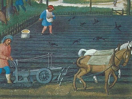 Kak srednevekovye fermery zashhishhali svoi posevy ea09484.jpg
