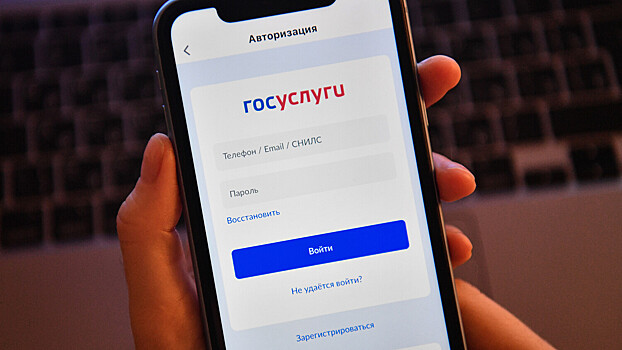 Mincifry zastavit gosuslugi rabotat dazhe pri otkljuchenii interneta 395d72a.jpg